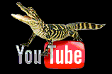 ALLIGATOR BOB ON YouTube