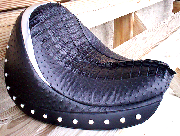 hornback alligator, ostrich, leather